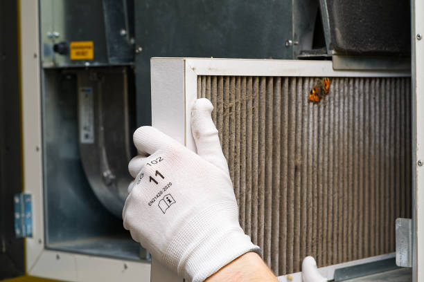 Best Commercial Air Duct Cleaning  in Mallory, WV