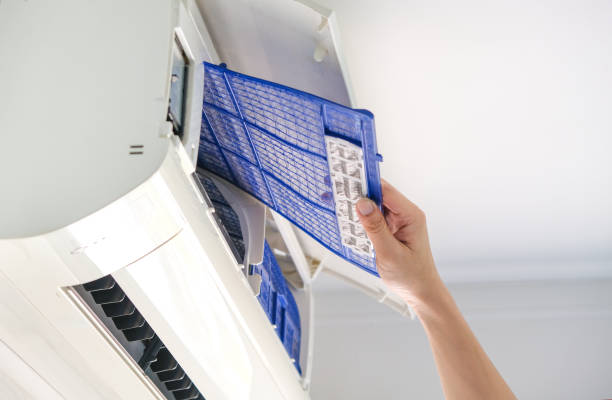 Best Air Duct Cleaning Near Me  in Mallory, WV