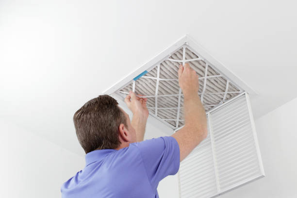Best HVAC Duct Inspection Services  in Mallory, WV